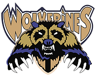 Wolverhampton Wolverines AFC 